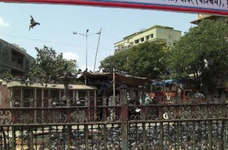 Failure of plan to build AD plant in Dadar