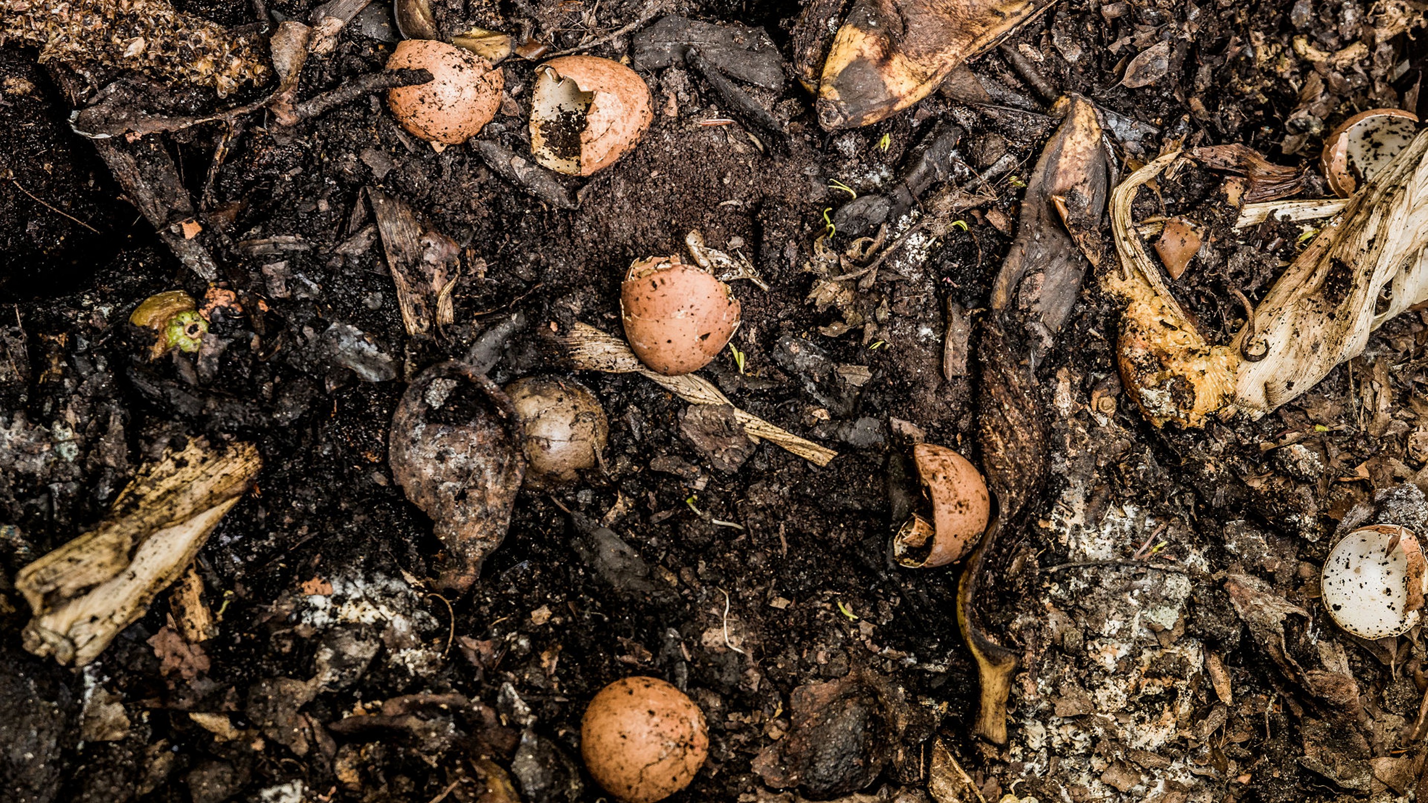 Mysuru: Covid-care centre sets up compost pits