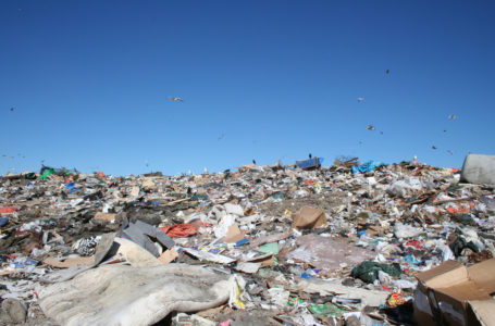 Gurugram, Faridabad civic bodies drop idea of creating new landfill
