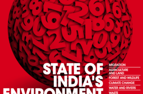 CSE’s ‘State of India’s Environment in Figures 2020’ report released to mark World Environment Day