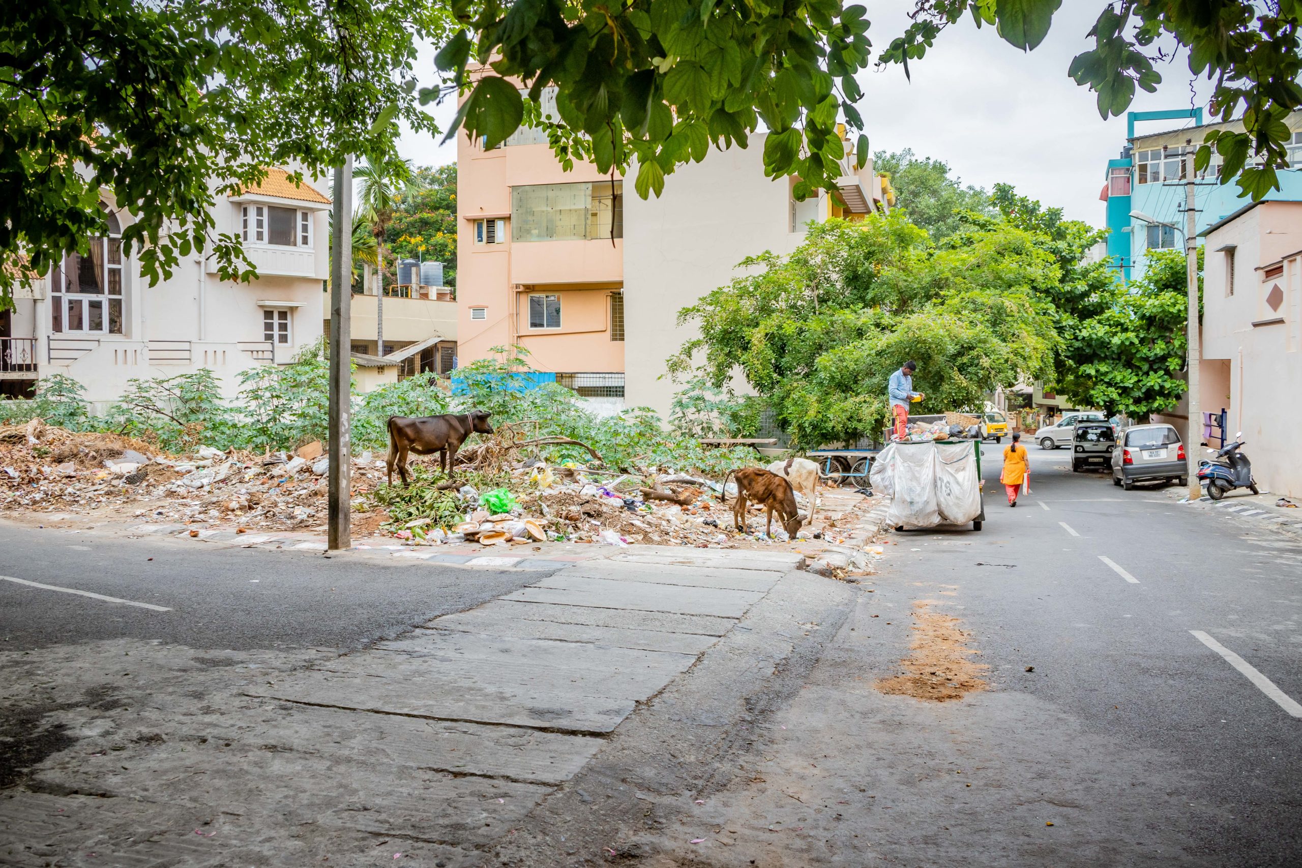 Bengaluru civic body collects Rs 2.3 crore from residents as fine for SWM violations