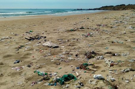 Cyclone Tauktae leaves piles of garbage on Mumbai beaches