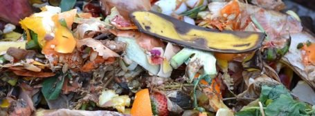 Mangaluru: ‘Start composting wet waste or else…’