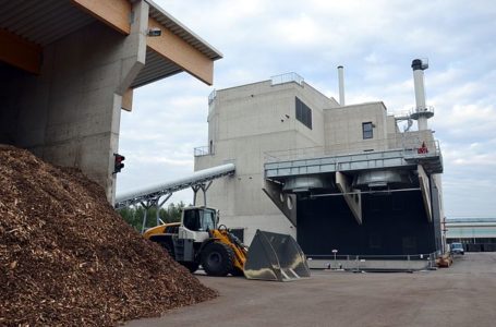 Two biomass projects delayed until 2022