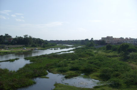 NGT notes dumping of waste in Adyar river