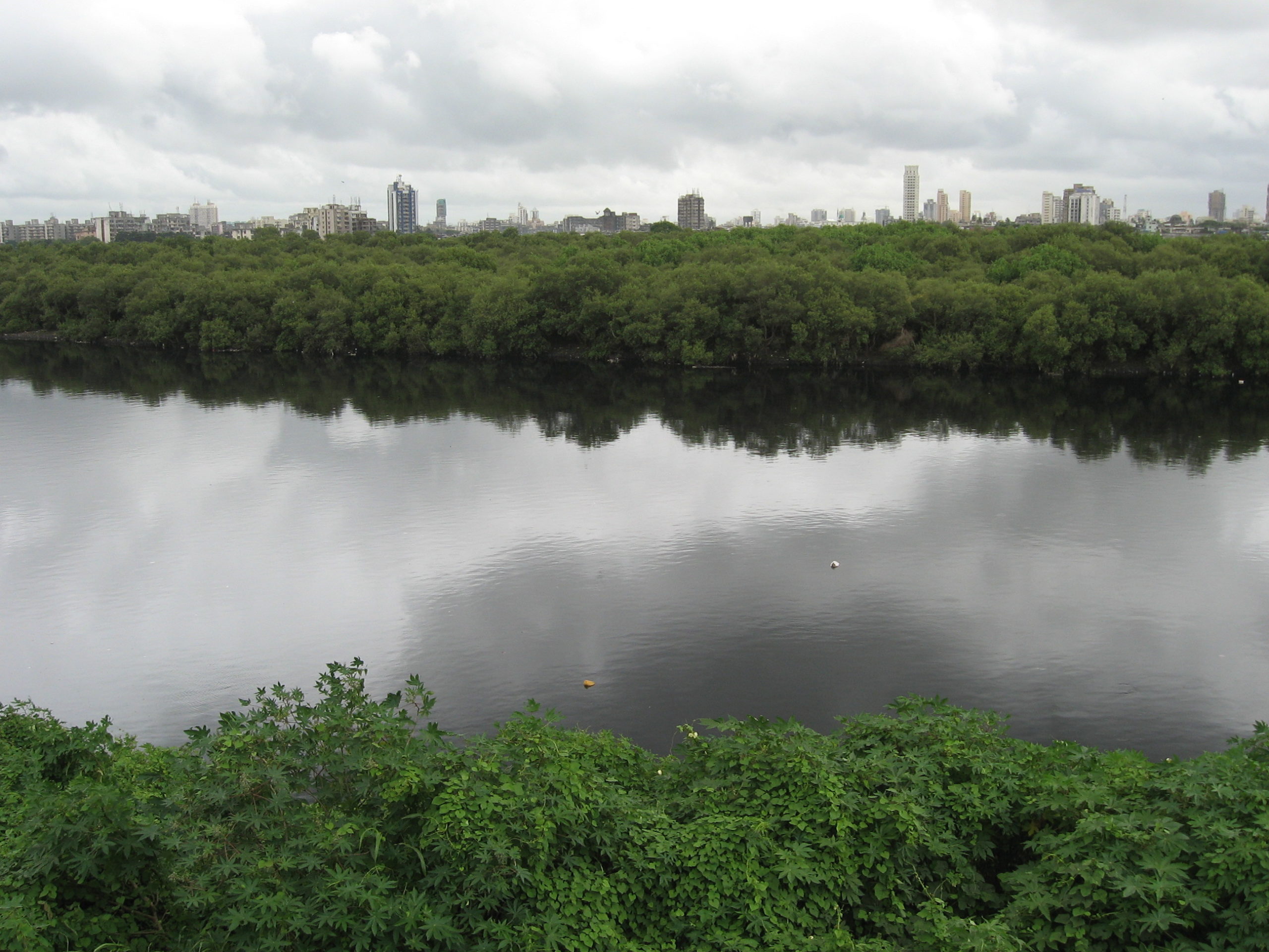 BMC to conduct awareness programs for residents to reduce waste disposal in Mithi River