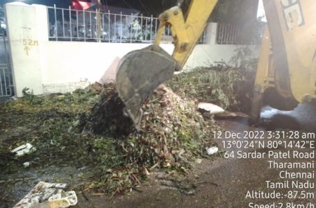 Chennai clean up underway following Cyclone Mandous