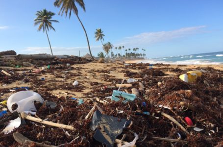 TN establishes new check posts for controlling plastic waste dumping on coastline